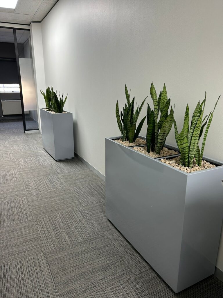 Divider planters