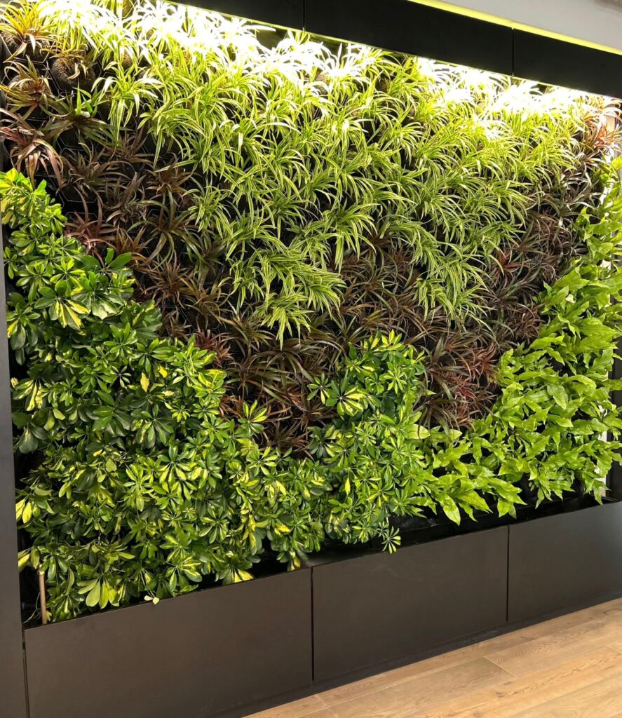 Green walls