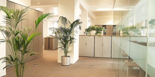 main_office-7